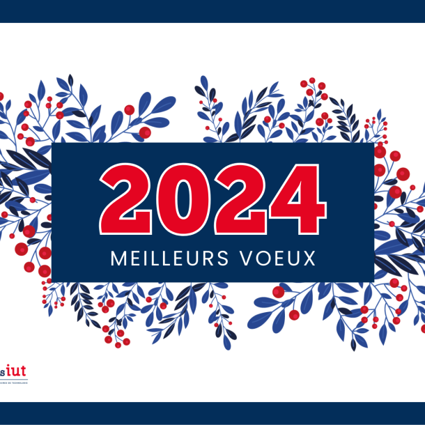 Meilleurs Vœux pour 2024