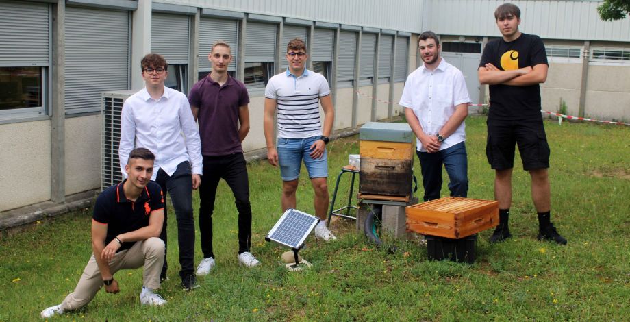 Les étudiants en BUT GEII de l&rsquo;IUT de Mulhouse réalisent une ruche connectée