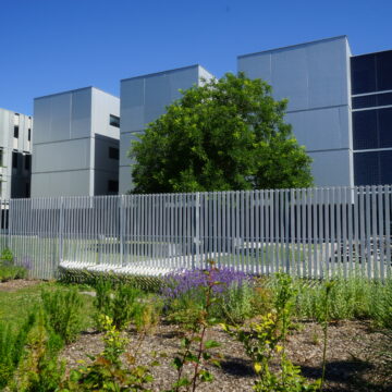 IUT Bordeaux Montaigne