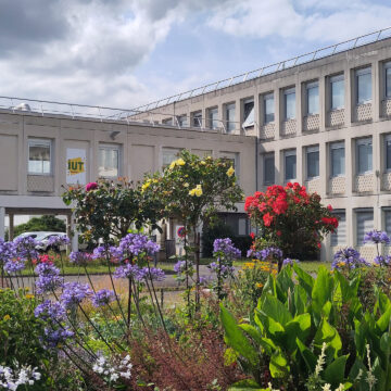 IUT Rennes