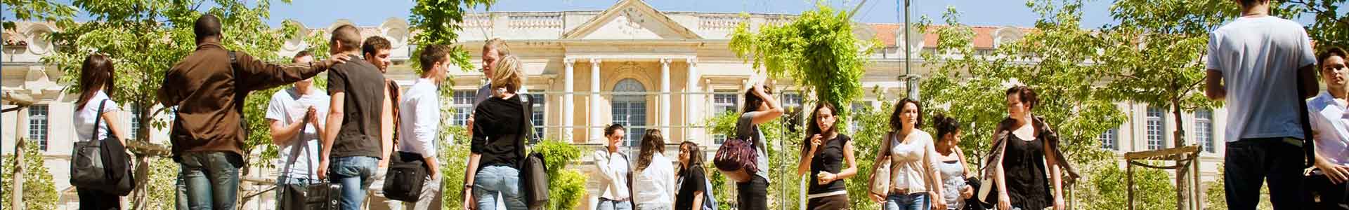 IUT Avignon Université