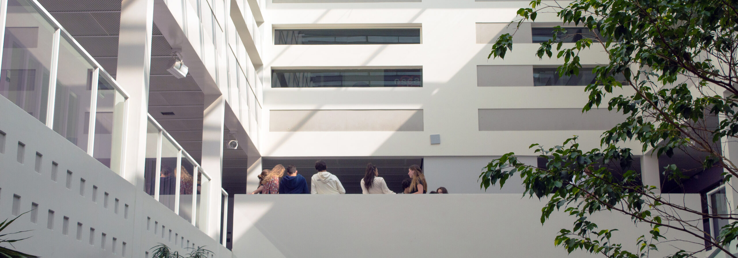 IUT Bordeaux Montaigne