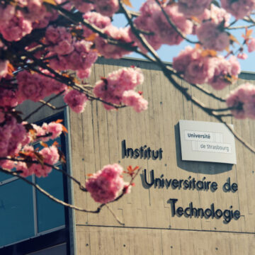 IUT Haguenau