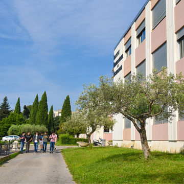 IUT Nîmes
